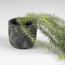 Scottish Everlastings Ltd. Scottish Everlastings 43Cm Artificial Trailing Plant In Rustic Cement Pot - thumbnail 2