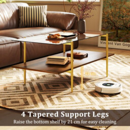 Gainoom Home 2-Tier Glass Coffee Table Rectangle Center Table W/ Tampered Glass Tabletop - thumbnail 6