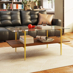 Gainoom Home 2-Tier Glass Coffee Table Rectangle Center Table W/ Tampered Glass Tabletop - thumbnail 3