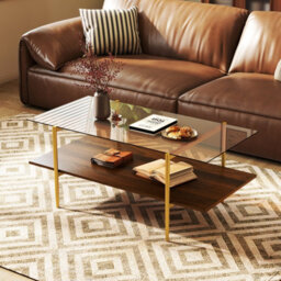 Gainoom Home 2-Tier Glass Coffee Table Rectangle Center Table W/ Tampered Glass Tabletop - thumbnail 1
