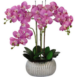 GreenBrokers Elegant Large Six Stem Butterfly Purple Real Touch Artificial Potted Orchid (65Cm) In Decorative Silver Ceramic Pot - thumbnail 3