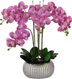 GreenBrokers Elegant Large Six Stem Butterfly Purple Real Touch Artificial Potted Orchid (65Cm) In Decorative Silver Ceramic Pot