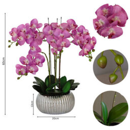GreenBrokers Elegant Large Six Stem Butterfly Purple Real Touch Artificial Potted Orchid (65Cm) In Decorative Silver Ceramic Pot - thumbnail 4