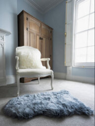 Naturally Sheepskins New Zealand Single Rug - Steel Grey - thumbnail 2