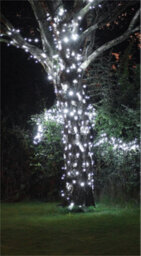 Eagle Connect Led String Lights Black Rubber Cool White 10M - thumbnail 7