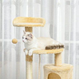 Pet Activity Centre Cat Tree Condo With Scratching Post 4-Tier Beige - thumbnail 6