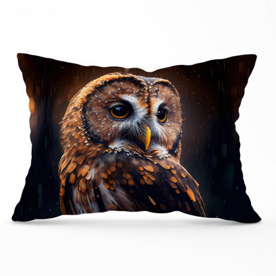 Warren Reed Designer Tawny Owl Face Splashart Dark Background Cushions 33Cm X 48Cm