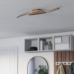 Eglo Lungolago Bronze Steel Minimalist Ceiling Light 901221 - thumbnail 2