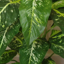Leaf Artificial Tree Plant Fox Aglaonema Plant Copper Metal Planter - thumbnail 4