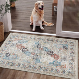 Ameha Area Rugs 40X60 Cm Coastal Cashmere Style Soft Short Pile Vintage Rug - Carpet For Dining Room - thumbnail 7