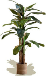 Artificial Plant Banana Tree, Maia Shop For Home And Office Decoration, 210Cm - thumbnail 3