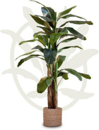 Artificial Plant Banana Tree, Maia Shop For Home And Office Decoration, 210Cm - thumbnail 1