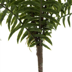 Leaf Artificial Fern Plant Realistic 50Cm Artificial Boston Fronded Fern Plant Botanik - thumbnail 4