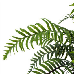 Leaf Artificial Fern Plant Realistic 50Cm Artificial Boston Fronded Fern Plant Botanik - thumbnail 6