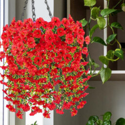 Artificial Outdoor Hanging Petunia Flowers, 2 Pieces Faux Petunias, Hanging Artificial Flowers, Weather Resistant, Uv Resistant - thumbnail 3
