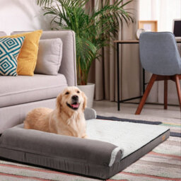 Bingopaw 2Xl 135Cm Deluxe Plush Orthopedic Dog Bed Bolstered Dog Sleeping Sofa Bed Waterproof - thumbnail 6