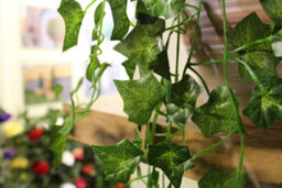 Best Artificial 100Cm English Trailing Ivy Garland Strings Strands Twines Decoration - Ti03 - thumbnail 5