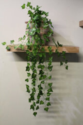 Best Artificial 100Cm English Trailing Ivy Garland Strings Strands Twines Decoration - Ti03 - thumbnail 4