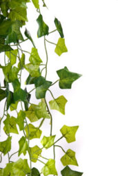 Best Artificial 100Cm English Trailing Ivy Garland Strings Strands Twines Decoration - Ti03 - thumbnail 3