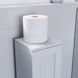 Hayle Matt White Freestanding Toilet Roll Holder Cupboard (H)650mm (W)200mm - thumbnail 5