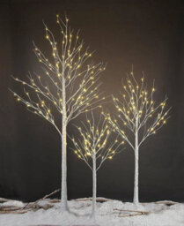 Pre-Lit Warm White Birch Tree Christmas Decoration With Remote - thumbnail 1