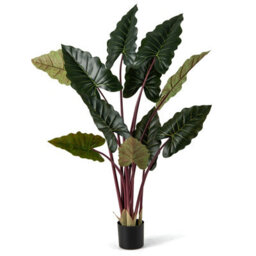 Gainoom 2 Pack Artificial Rainbow Taro Tree 160Cm Tall Fake Pre-Potted Plant - thumbnail 9