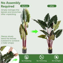 Gainoom 2 Pack Artificial Rainbow Taro Tree 160Cm Tall Fake Pre-Potted Plant - thumbnail 5