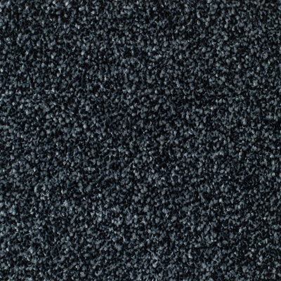 Remland Mullion Bleach Cleanable Deep Pile Carpet (Charcoal, 2M X 4M)