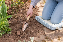 Jardinopia Beatrix Potter Adult Garden Transplanter Copper Finish - thumbnail 3