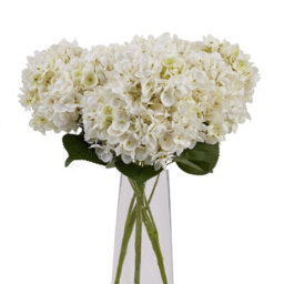 Wyld Haus Set Of 3 White Artificial Hydrangea Bunches, 47Cm Faux Flowers - thumbnail 2