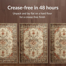Imperial Rooms Homeware Soft Pile Small Rug Living Room Rugs Anti Slip Doormat Rug Kitchen Rugs Timeless 40X60Cm - thumbnail 4