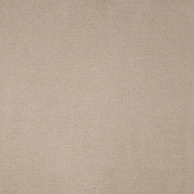 Avondale Plains Carpet By Remland (Papyrus, 3M X 4M)