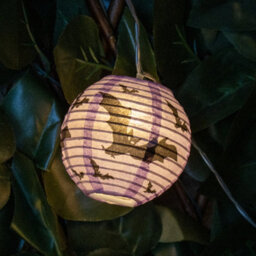 Global Gizmos Halloween Lantern String Lights - thumbnail 7