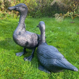 Inspirational Gifting Pair Of Ducks Garden Sculpture Cast Aluminium Ornament - thumbnail 6