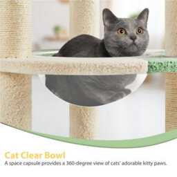 Yaheetech Green/beige Cat Tree With Transparent Cat Bed And Scratching Posts For Kittens - thumbnail 7