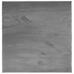 Berkfield Rug Oviedo Short Pile Anthracite 200X200 Cm - thumbnail 2