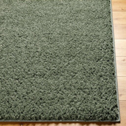 Livabliss Moda Shaggy-Solid Color Green Plush Soft Pile Living Bedroom Rug 120 X 180 Cm Easy Care, Non Shedding - thumbnail 5