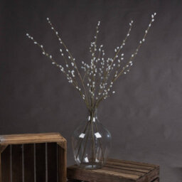 Hill Interiors Uk Homeliving White Willow Branch