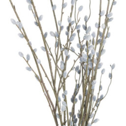 Hill Interiors Uk Homeliving White Willow Branch - thumbnail 5