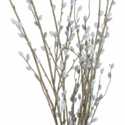 Hill Interiors Uk Homeliving White Willow Branch - thumbnail 6