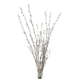 Hill Interiors Uk Homeliving White Willow Branch - thumbnail 4