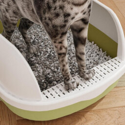 Vivo Cat Litter Tray Open Top High Rim Plastic Box With Scoop 48 X 40 X 20Cm - Green - thumbnail 5