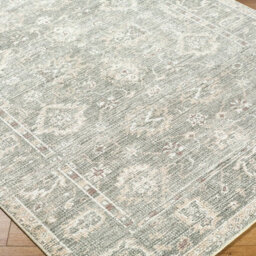 Livabliss Galey Alix Collins Avenue-Vintage Green Beige Grey Traditional Vintage Boho Fringe Living Dining Bedroom Rug 157 X 213 Cm - thumbnail 6