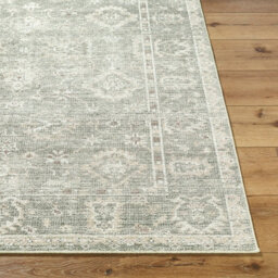 Livabliss Galey Alix Collins Avenue-Vintage Green Beige Grey Traditional Vintage Boho Fringe Living Dining Bedroom Rug 157 X 213 Cm - thumbnail 5