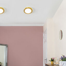 Litecraft Brass Magnetic Bezel For 12W Darly Bathroom Flush Ceiling Light - thumbnail 1