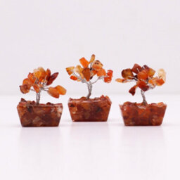 Serenityy Mini Carnelian Gemstone Tree On Orgonite Base - 15 Stones - Pack Of 12 - 5 Cm Height - thumbnail 4
