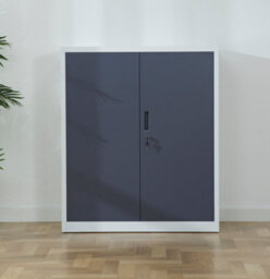 MMT Funiture Designs Metal Storage Cabinet - Closet Storage For Office, Bedroom, Living Room, Kitchen Lockable Storage Cabinet 2 Adjustable Shelves - thumbnail 2