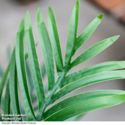 Garden Gear Artificial Areca Palm Tree 90Cm Realistic Leaves For Indoor Outdoor Home Office Garden Décor - thumbnail 4