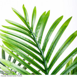 Garden Gear Artificial Areca Palm Tree 90Cm Realistic Leaves For Indoor Outdoor Home Office Garden Décor - thumbnail 6