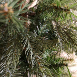 Samuel Alexander 4Ft (1.2M) Green Grandis Fir Real Look Christmas Tree With Metal Stand - thumbnail 4